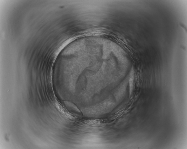 X0000101170100200807251142