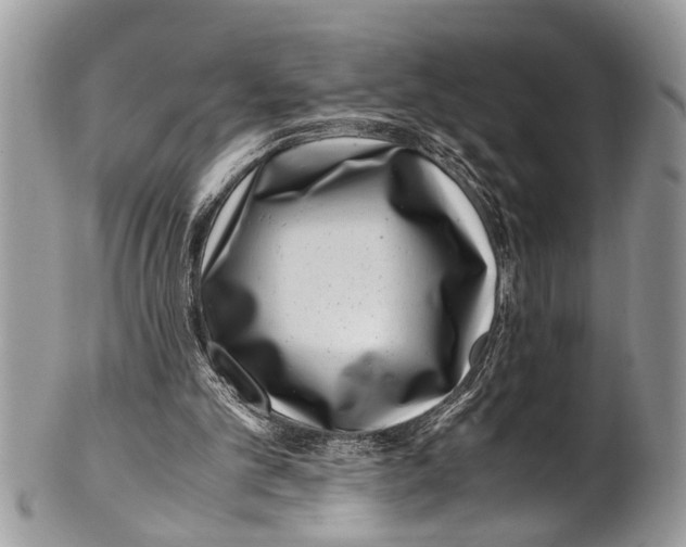 X0000101170101200807251142