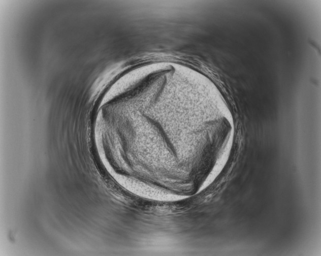 X0000101170103200807251142
