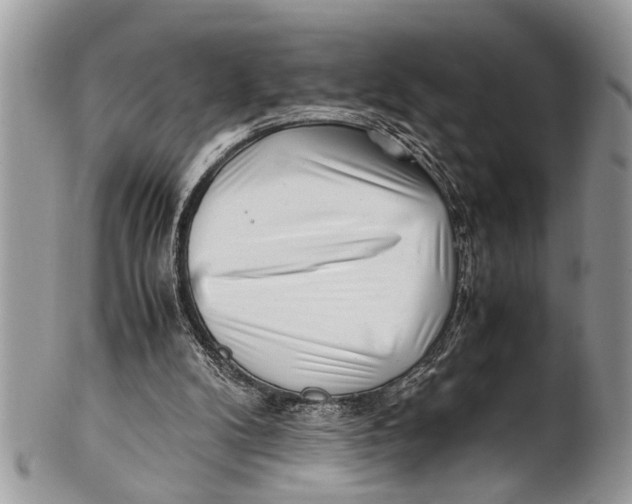 X0000101170104200807251142