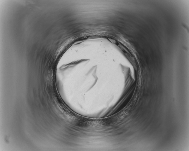 X0000101170107200807251142