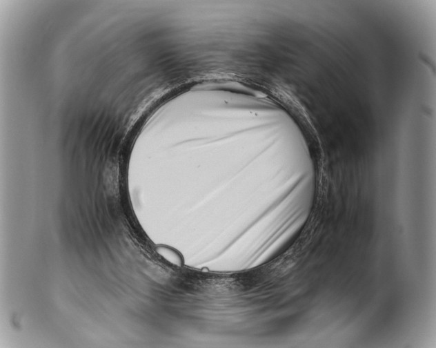 X0000101170108200807251142
