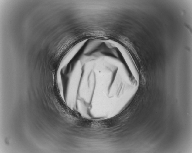 X0000101170109200807251142