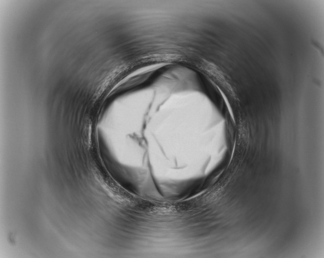 X0000101170110200807251142