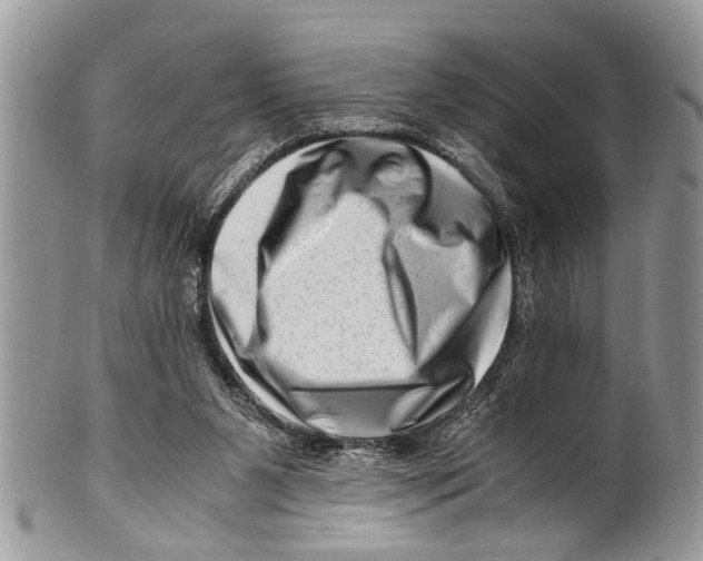 X0000101170111200807251142