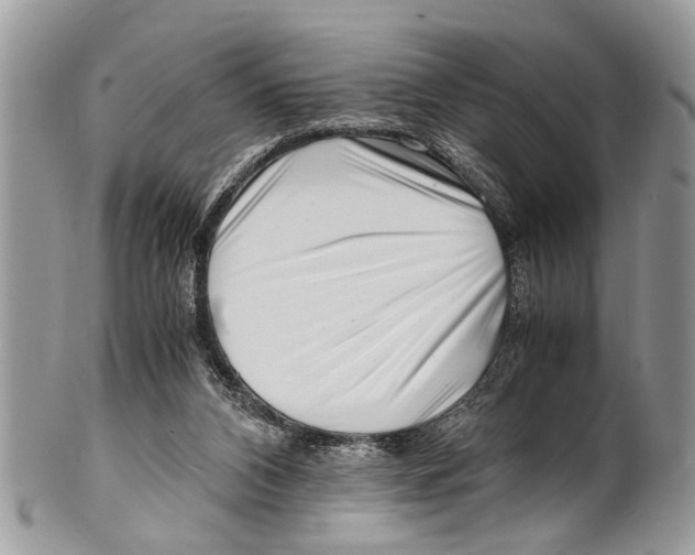 X0000101170112200807251142
