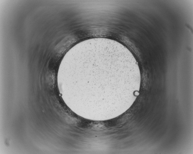 X0000101170113200807251142