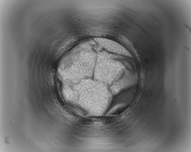 X0000101170114200807251142