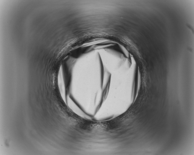 X0000101170115200807251142