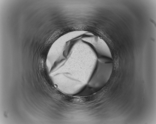 X0000101170117200807251141