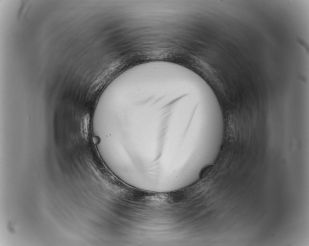 X0000101170118200807251141
