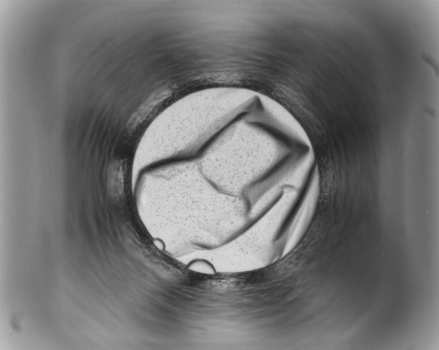 X0000101170120200807251141
