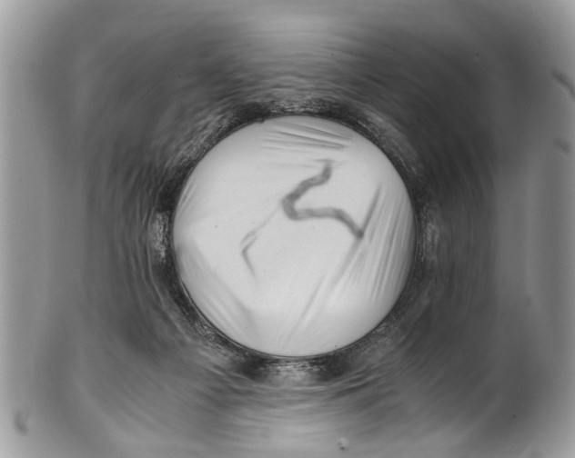 X0000101170121200807251141