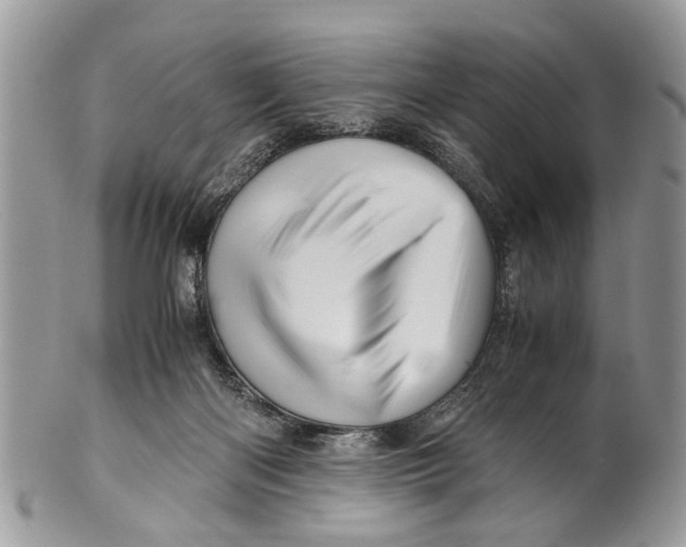 X0000101170122200807251141