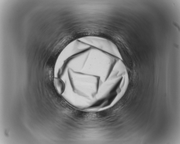X0000101170123200807251141