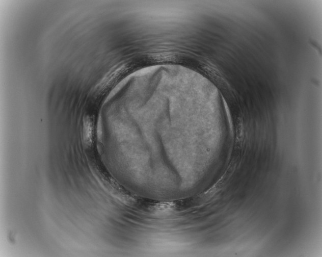 X0000101170124200807251141