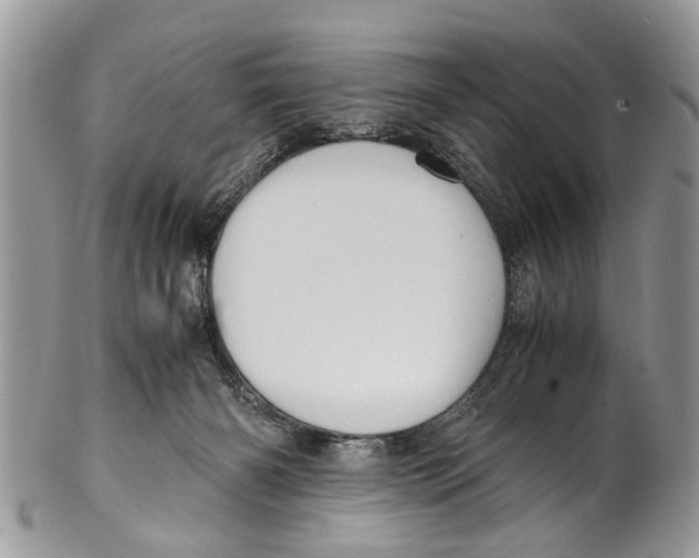 X0000101170126200807251141