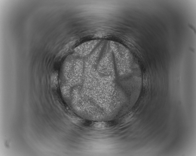 X0000101170127200807251141