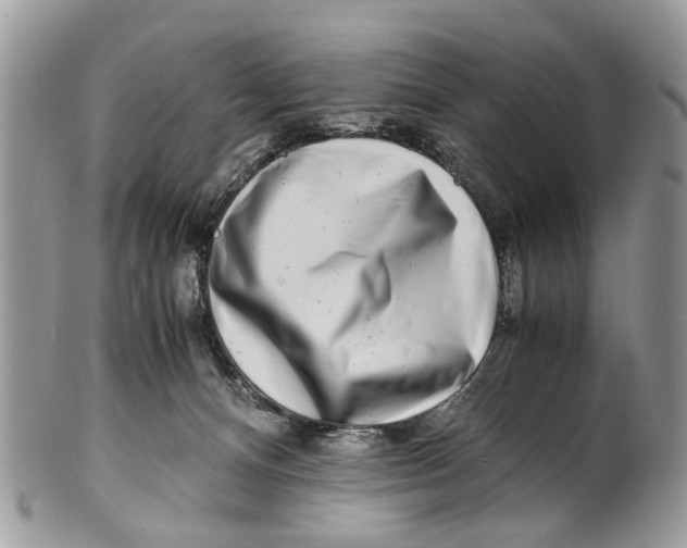 X0000101170128200807251141