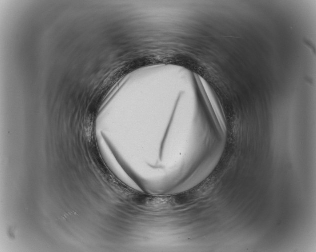 X0000101170129200807251141