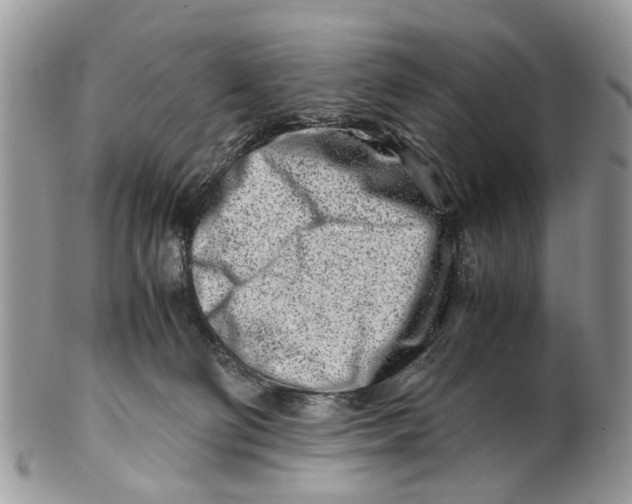 X0000101170130200807251141