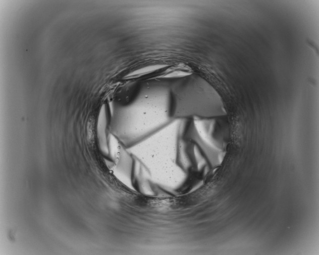 X0000101170131200807251141