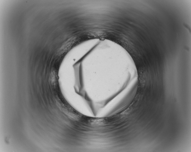 X0000101170132200807251141