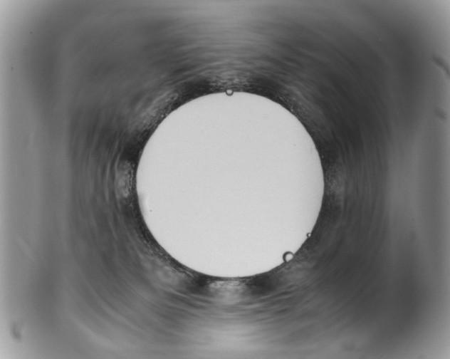 X0000101170133200807251141