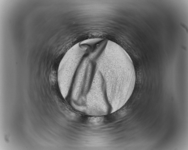 X0000101170135200807251141