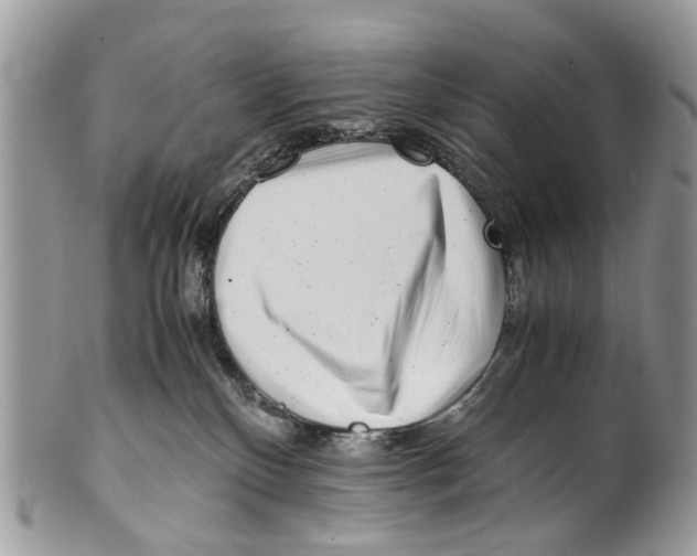 X0000101170136200807251141