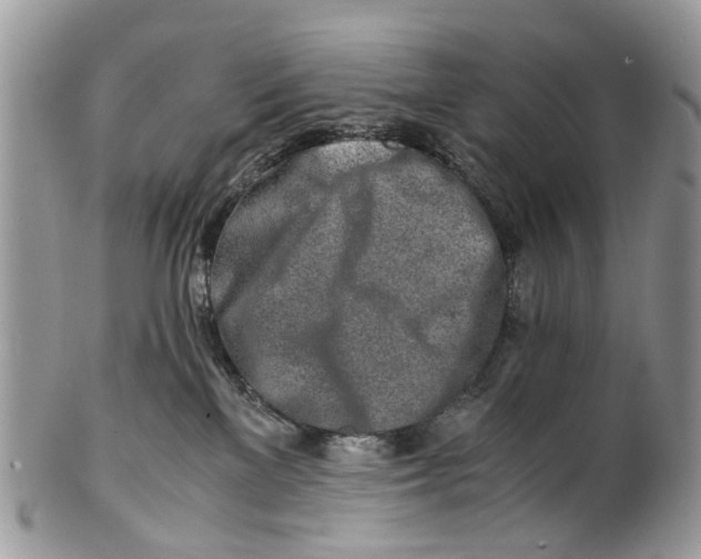 X0000101170137200807251141