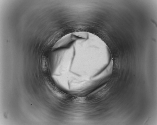 X0000101170138200807251141