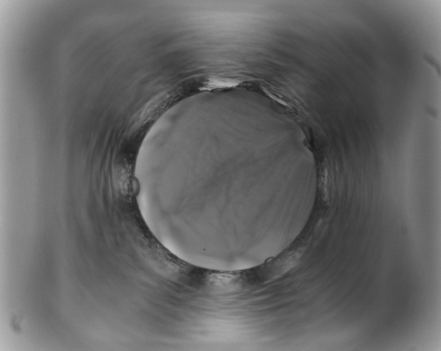 X0000101170139200807251141