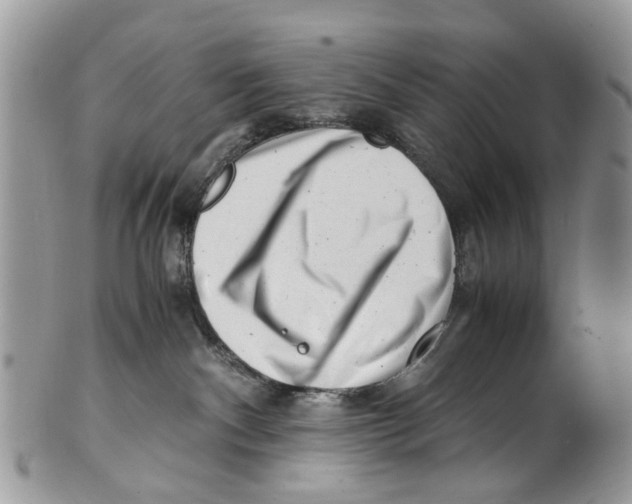 X0000101170140200807251141