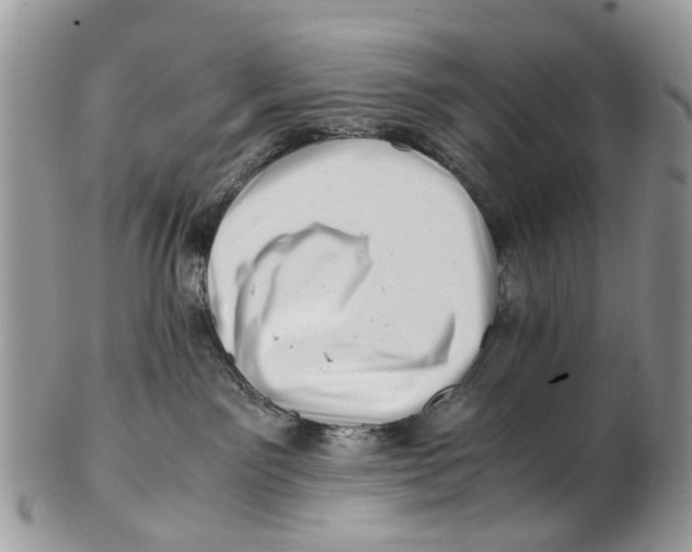 X0000101170141200807251141