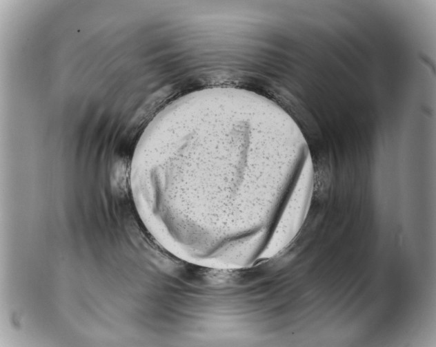 X0000101170142200807251141