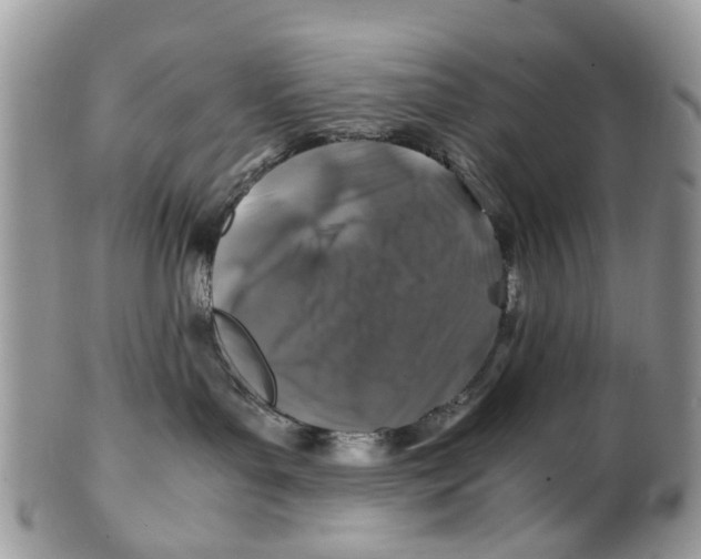 X0000101170143200807251141