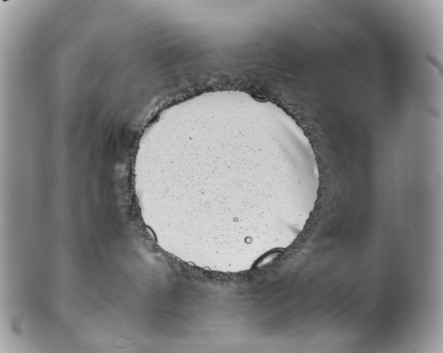 X0000101170144200807251141