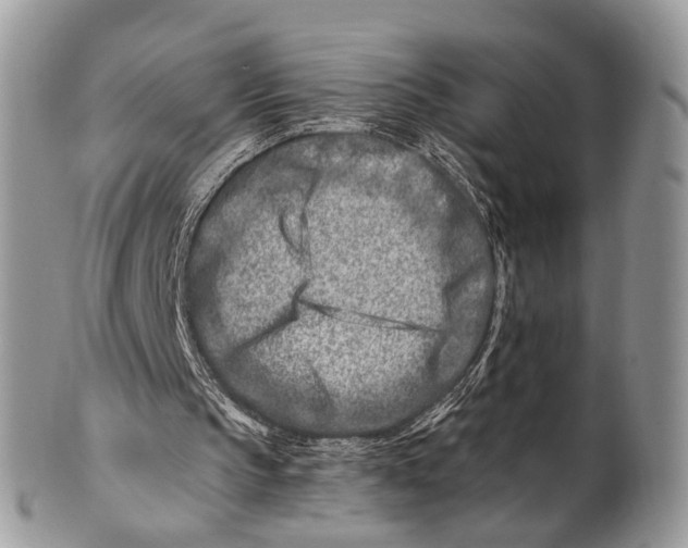 X0000101170145200807251140