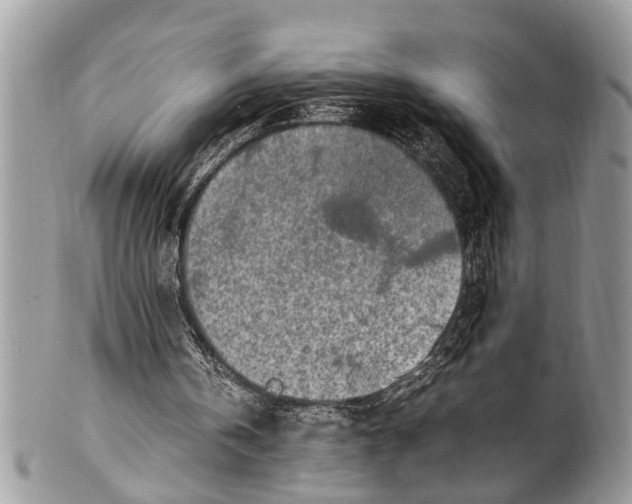 X0000101170146200807251140
