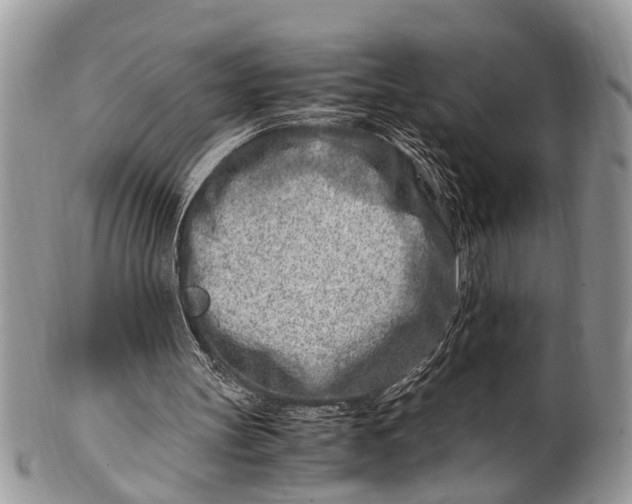 X0000101170147200807251140