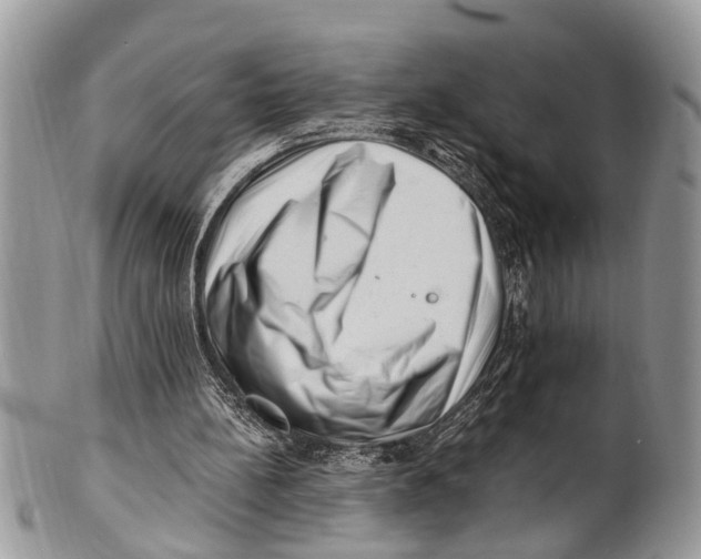 X0000101170148200807251140