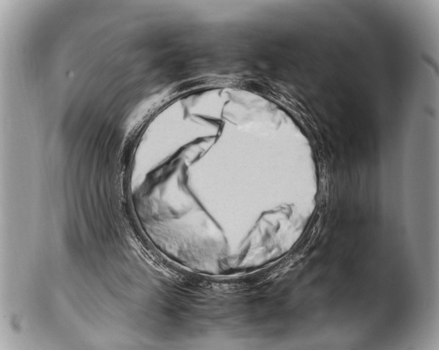 X0000101170149200807251140