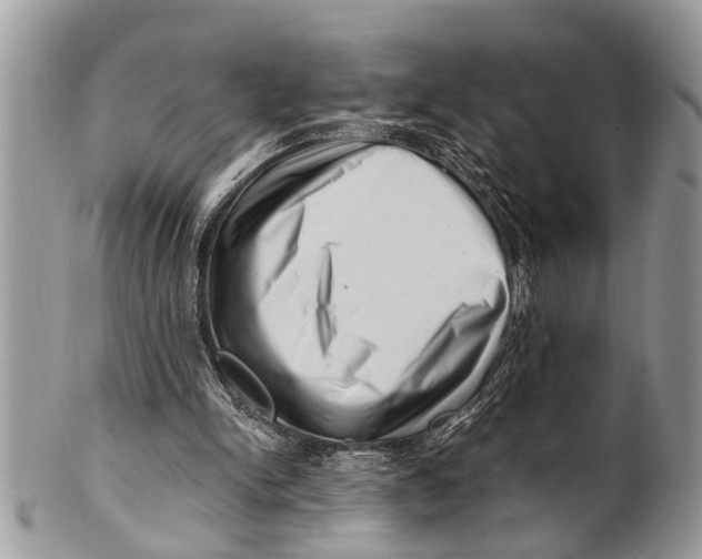X0000101170150200807251140