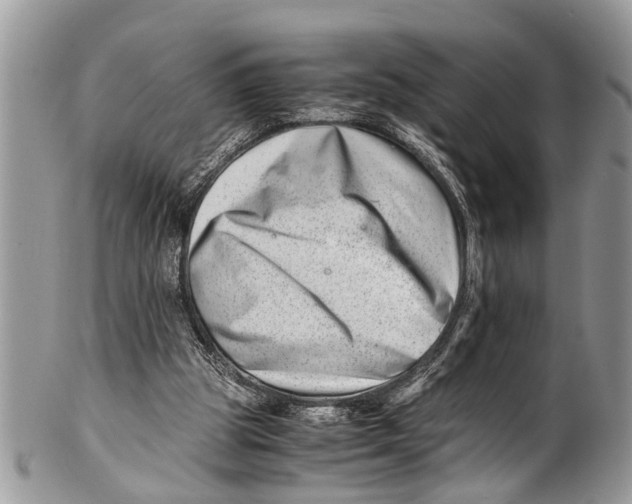 X0000101170153200807251140
