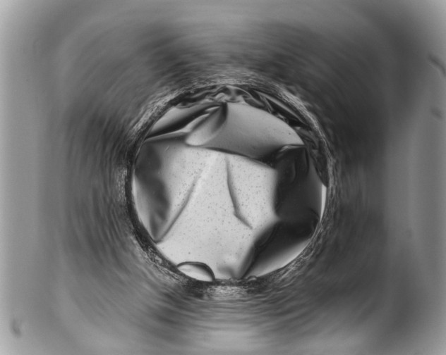 X0000101170154200807251140