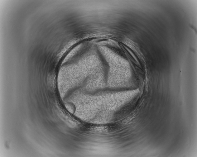 X0000101170156200807251140