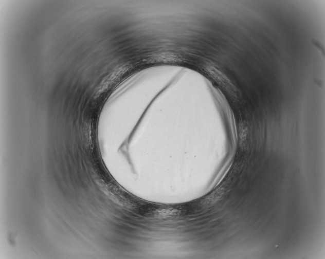 X0000101170158200807251140