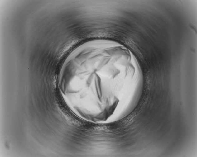 X0000101170160200807251140