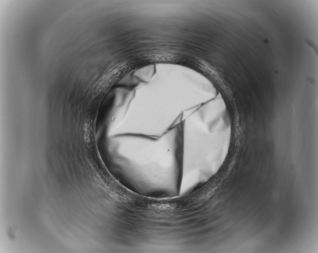 X0000101170161200807251140